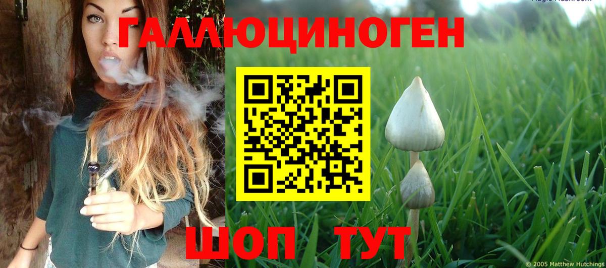 Галлюциногенные грибы MAGIC MUSHROOMS Балашиха