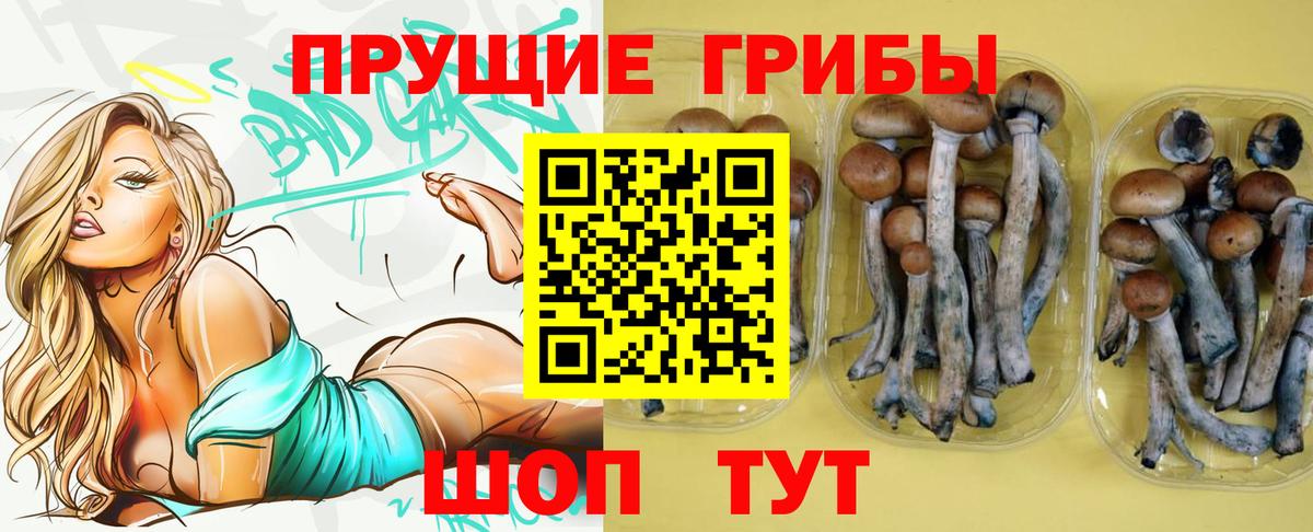 Псилоцибиновые грибы Psilocybine cubensis  Вход с VPN  Балашиха 