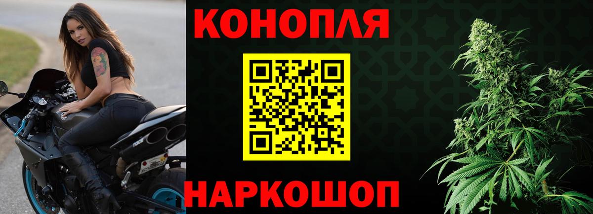 Бошки Шишки гибрид  Вход с VPN  Балашиха  Марихуана гибрид  Каннабис планчик 